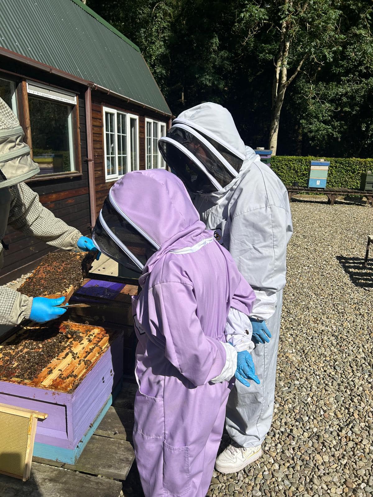 Two beekeepers in protective suits at a hive during R&BKA training